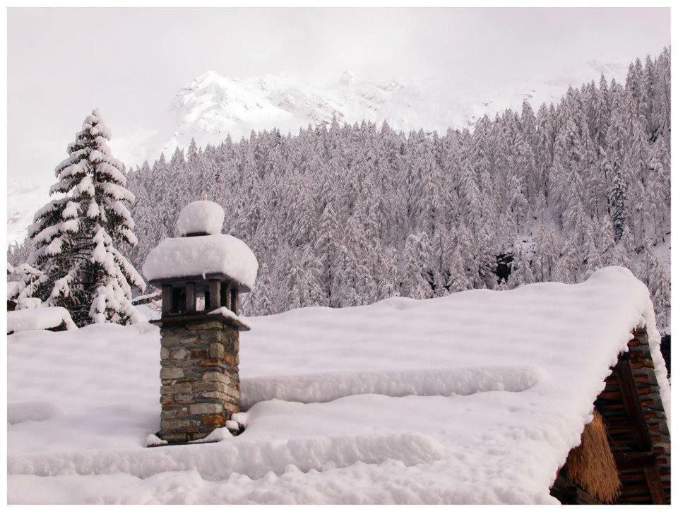 Monte Rosa Ski Apartments Gressoney-Saint-Jean Esterno foto